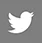 ico-twitter